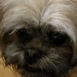 Meet your Posher, Craig